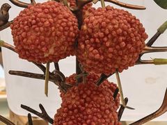 -金华安大酒楼·老牌潮菜·粤式茶点(东方国际店)