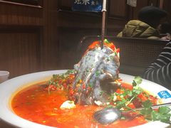 -坛宗剁椒鱼头(河西王府井店)