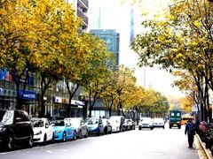 -南浦大桥长途旅游客运站