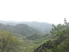-大岭沟猕猴桃谷风景区