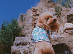 -蟠龙山长城景区