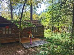 -五营红松林海景区