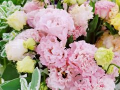 -花未央花店·WEYOUNG