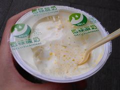 -德禄酸奶(莫家街店)