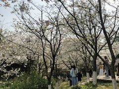 -南山植物园