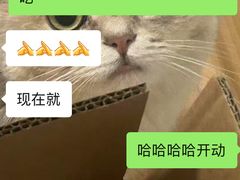 -舜华临武鸭·湖南零食特产(三王街店)
