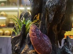 -普洱茶府(博乐广场店)