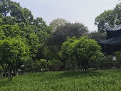 -柳侯公园