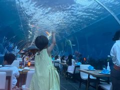 -海棠湾洲际-涛·海底餐厅·美人鱼·自助餐·海底隧道