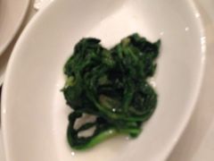 蔬菜-西郊5号·Maggie 5