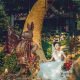 不同场景下的美新娘👰 🌟✨🌟✨🌟✨