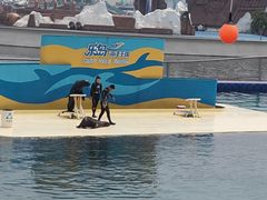 -秦皇岛乐岛海洋王国