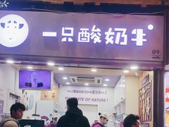 门面-一只酸奶牛(八一路店)