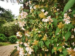 -国家植物园南园