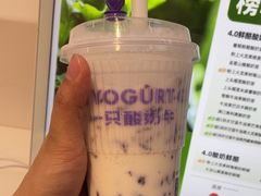 -一只酸奶牛(时代天街A馆店)
