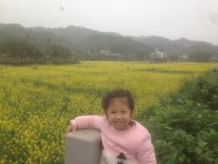 -红山村