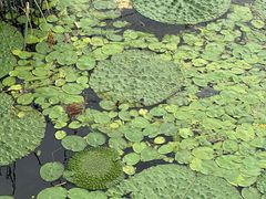 -长春市南湖公园