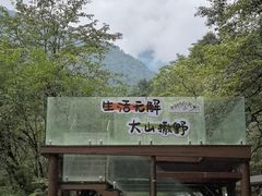 -西岭雪山大飞水景区