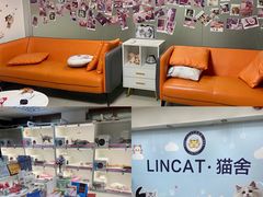 -lincat·猫舍(广州店)