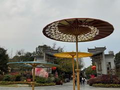 -安仁古镇