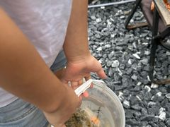 -DGE季风钓虾营地·团建·聚会