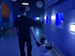 -石家庄海洋公园