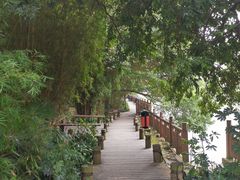 -成都市活水公园