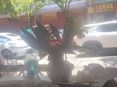 -大理.老字号渝记酸萝卜乌鱼(古城总店)