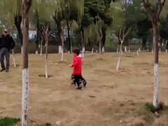 -沙河三洞古桥公园