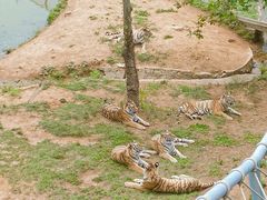 -西霞口神雕山野生动物世界