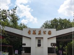 -金花茶公园