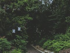 -成都市活水公园