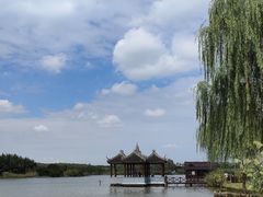 -沙家浜风景区