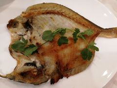 -黄埔华苑酒家(黄埔店)