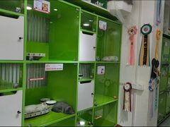 -唐小姐の私宠·宠物洗护美容·撸猫馆·购宠(周浦万达旗舰店)