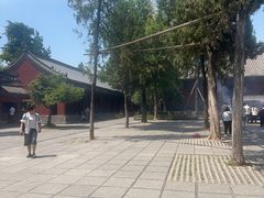 -洛阳白马寺