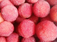 -塘栖枇杷特色园区