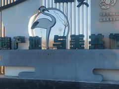 -盐城丹顶鹤湿地生态旅游区