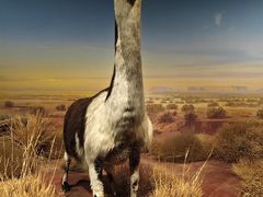 -陕西自然博物馆