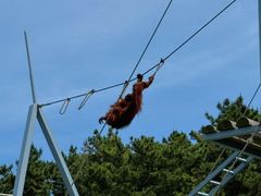 -西霞口神雕山野生动物世界