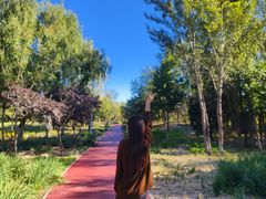-绿堤公园