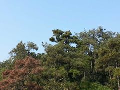 -紫金山天文台