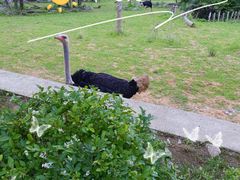 -沈阳森林动物园