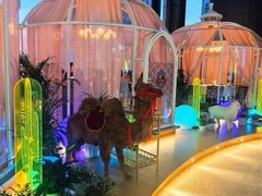 -天山传奇新疆菜(SKLP店)