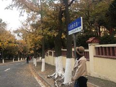 -八大关景区