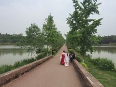 -白鹭湾湿地公园