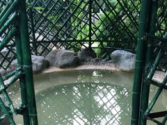 -星河温泉小镇