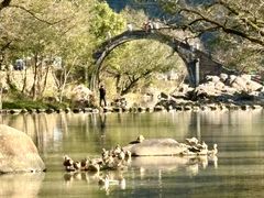 -鹿亭中村