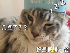 -奈雪的茶(百盛店)