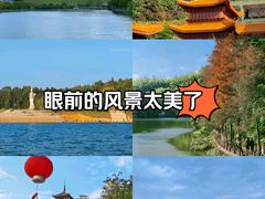 -酒仙湖景区